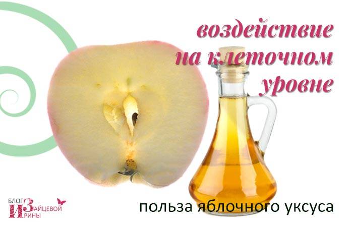 Польза яблочного уксуса для здоровья. в каких сферах применяется этот продукт