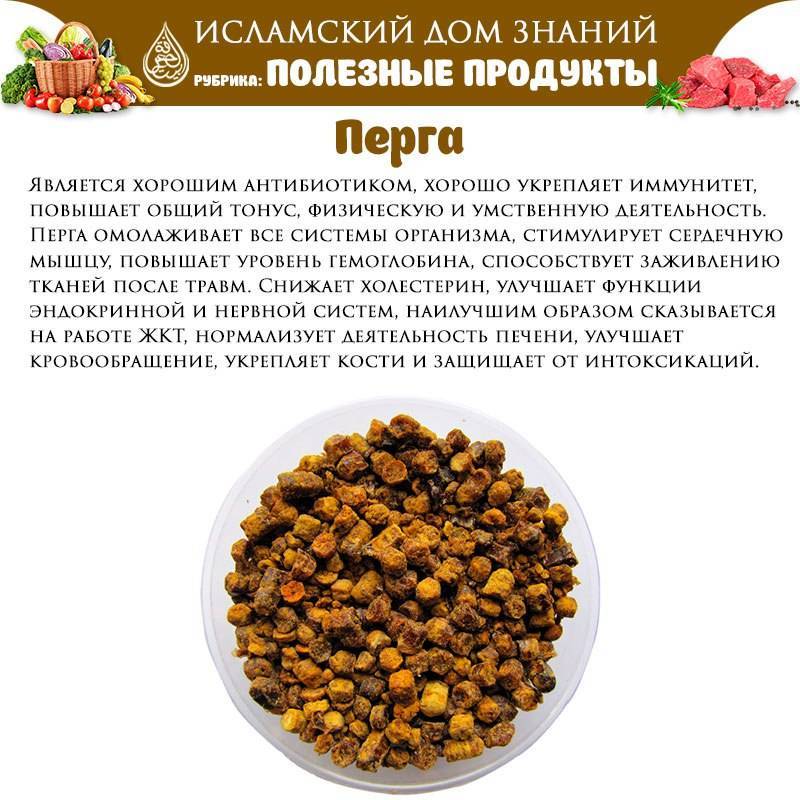Пчелиная пыльца: полезные свойства и вред, как употреблять и зачем?