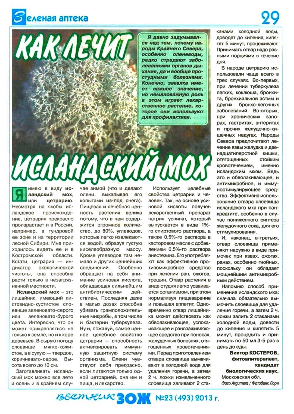 Исланский мох — лечебные свойства, показания, противопоказания. как применять исландский мох — инструкция, рецепты. применение исландского мха в народной медицине