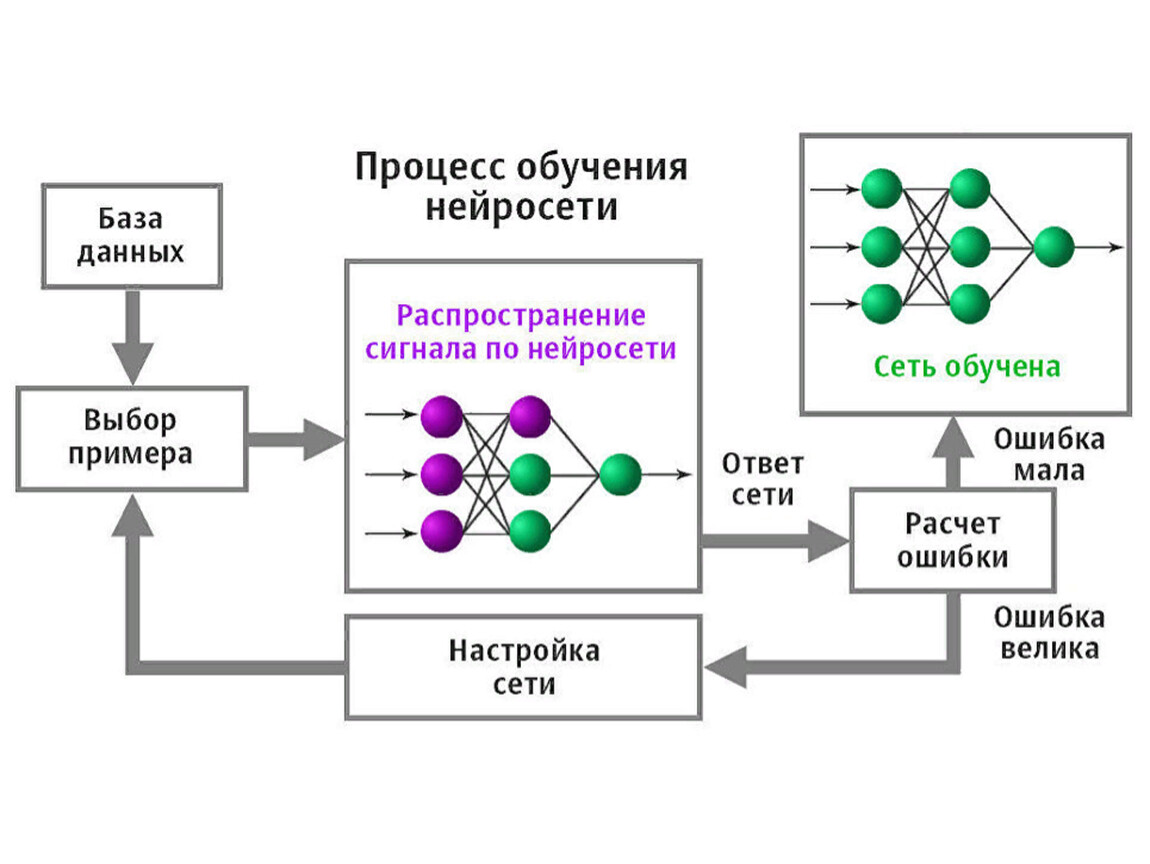Как называется прическа элджея