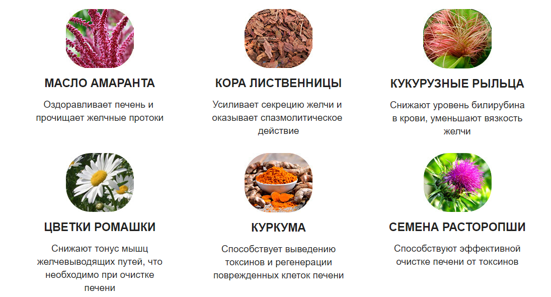 Очистка народными средствами печени в домашних условиях
