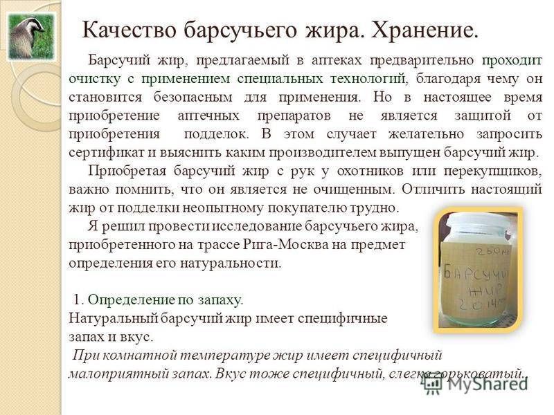 Барсучий жир – лечебные свойства и противопоказания, рецепты использования