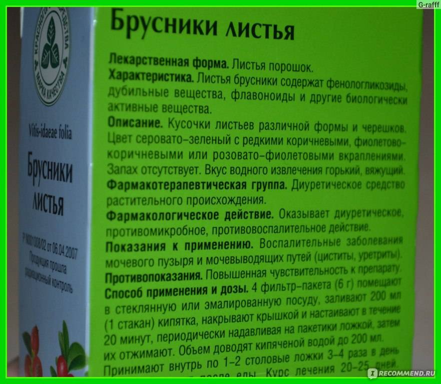 Брусничный лист при беременности: как беременным принимать бруснику от отеков, для лечения цистита и других болезней?