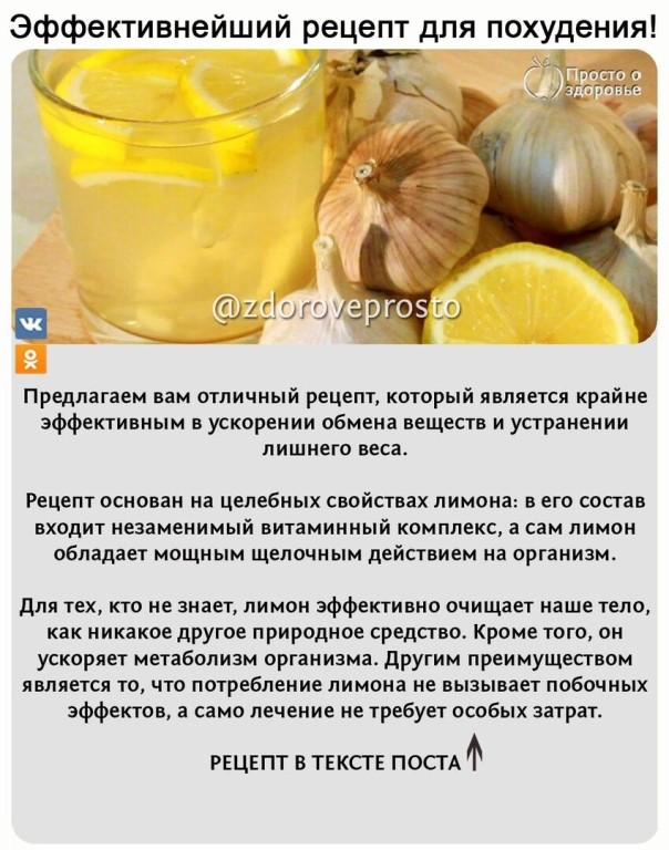 Как правильно заваривать и пить красную калину