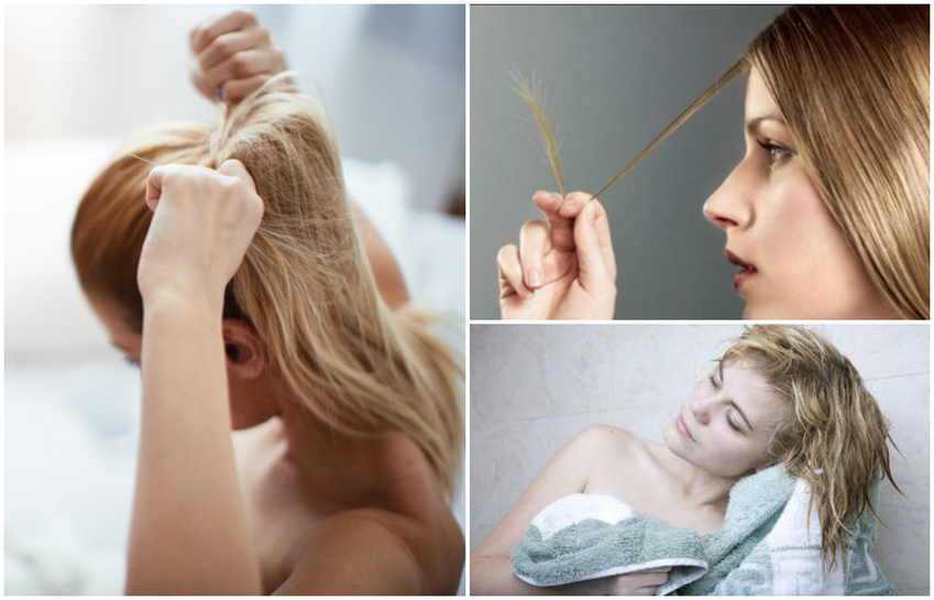 Густые волосы – как добиться в домашних условиях густоты