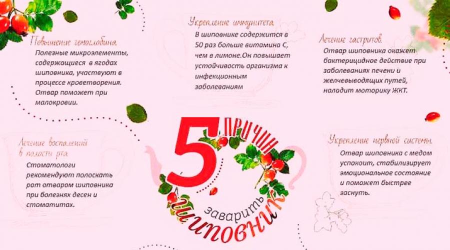 Отвар шиповника: как правильно приготовить и принимать