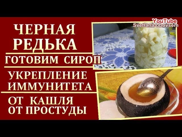 Черная редька: польза и вред, рецепты приготовления