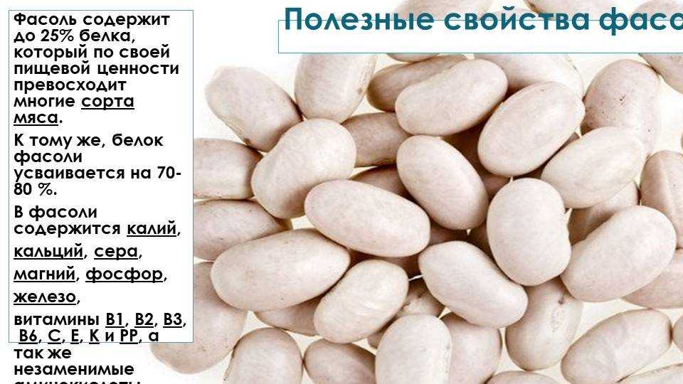 Польза фасоли для организма: состав, противопоказания, полезные свойства