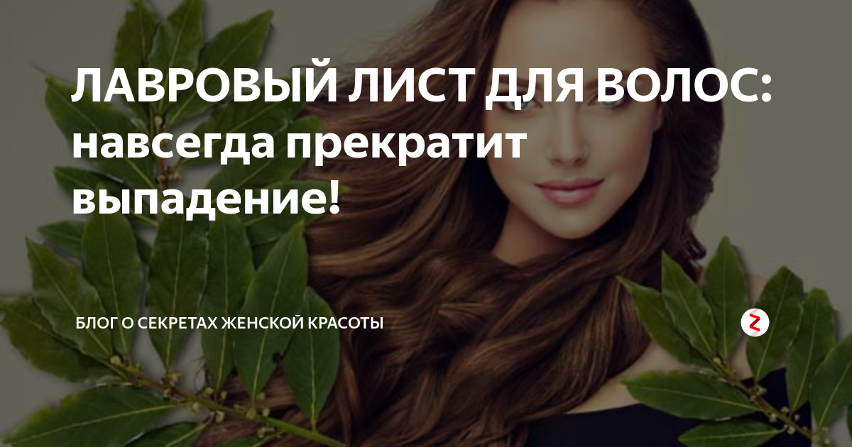 Лавровый лист для волос, или пряность «латающая» пряди