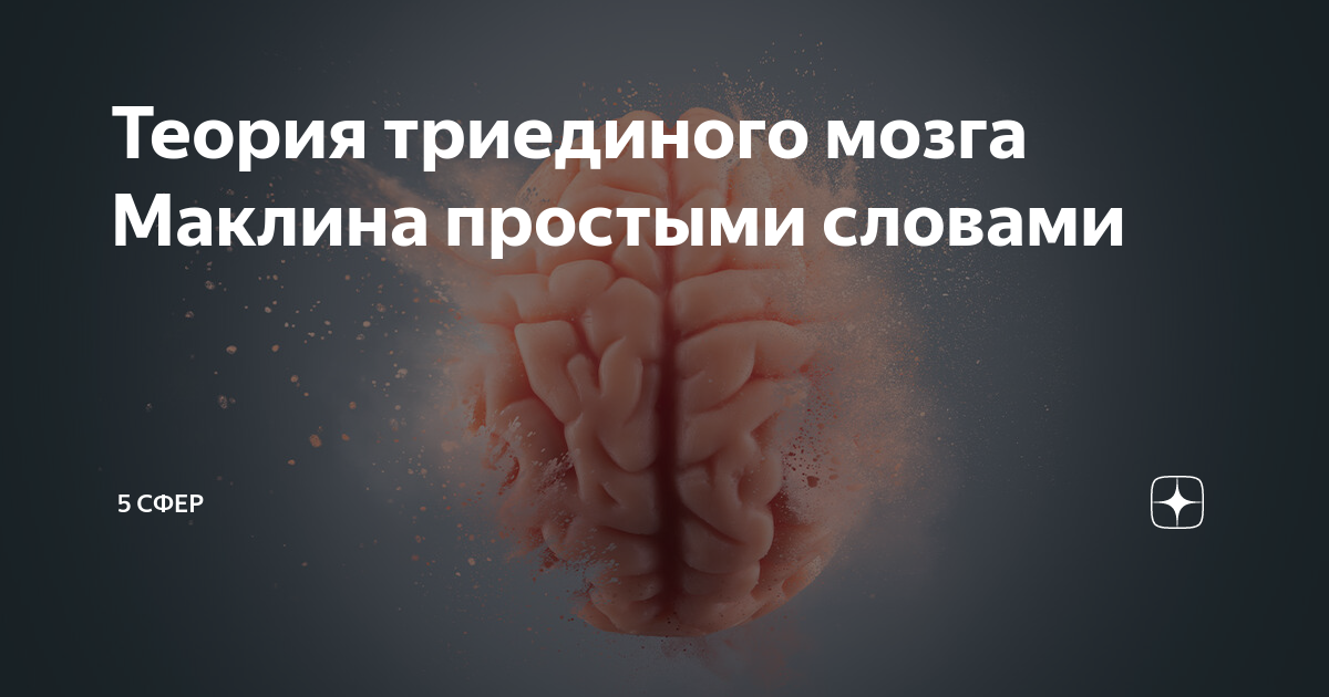 Читать семь с половиной уроков о мозге. почему мозг устроен не так, как мы думали онлайн лиза фельдман барретт (страница 3)