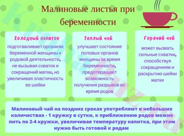 Лечебные свойства малины, при каких болезнях полезна ягода