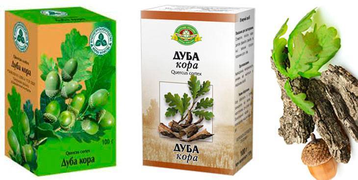 Кора дуба: от чего помогает, от каких болезней.🌳 лечебные свойства и противопоказания. инструкция по применению, народные средства.🌳