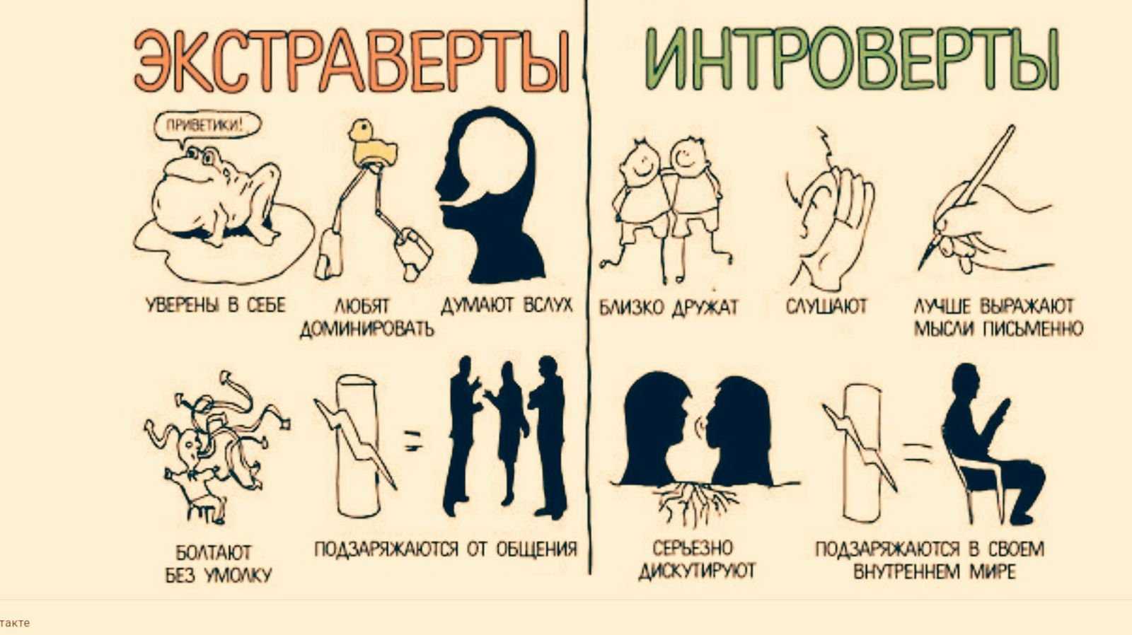 Экстраверт или интроверт? кто они и чем отличаются