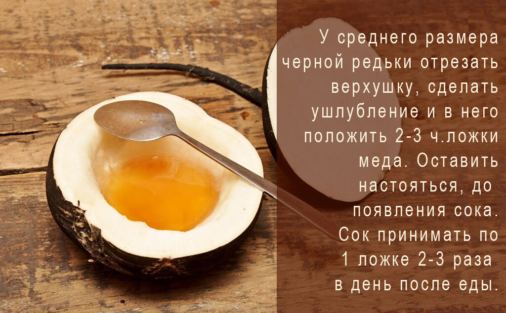 Черная редька с медом от кашля: рецепты смеси для лечения, как ее можно приготовить и правильно принимать