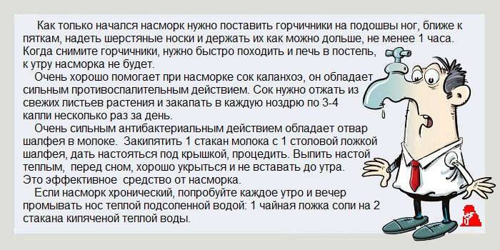 Как лечить простуду быстро и эффективно: народные рецепты
