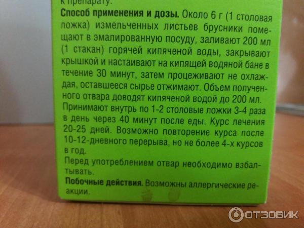 Полезные свойства брусники: делаем целебные отвары из ягод и листьев и лечим орз, авитаминоз и другие болезни