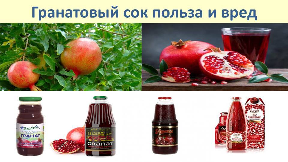 🔴 гранатовый сок: польза для организма человека, а также возможный вред и противопоказания. selo.guru — интернет портал о сельском хозяйстве
