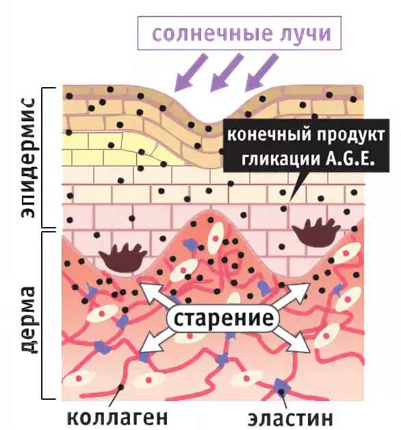 Медицинские мифы о сахаре