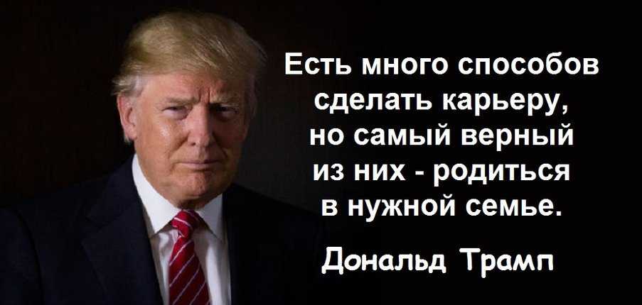 Новая причёска Трампа фото Раскрыта тайна причёски Трампа Дональд Трамп причёска Секрет причёски Трампа Как сделать причёску Трампа - приколы Почему у Трампа такая странная причёска Журналист открыл тайну причёски Трампа Причёска Трампа на ветру
