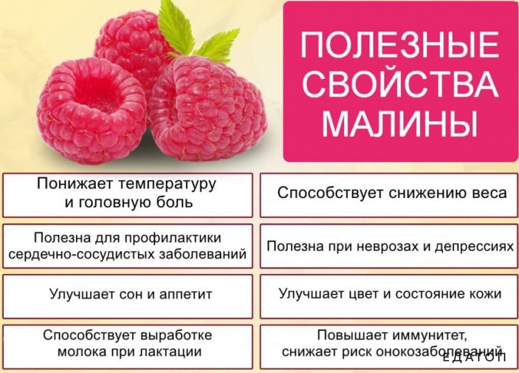 Чай с малиновым вареньем при температуре взрослому - советы