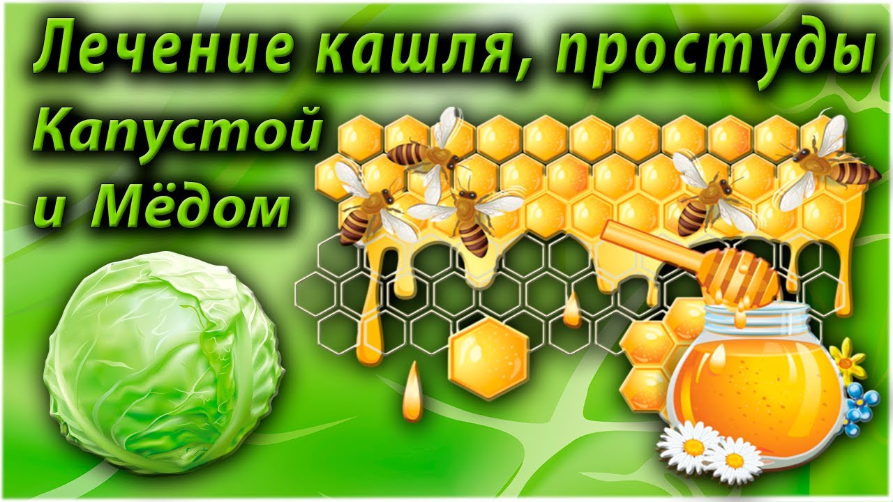 Капустный лист с медом от кашля — доступный и безопасный метод лечения кашля