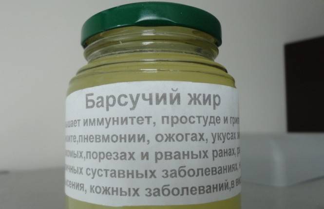 Барсучий жир от кашля - натуральное и эффективное средство