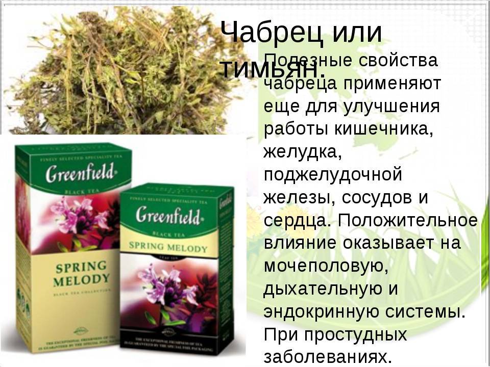 Чем полезен чай с чабрецом для здоровья организма