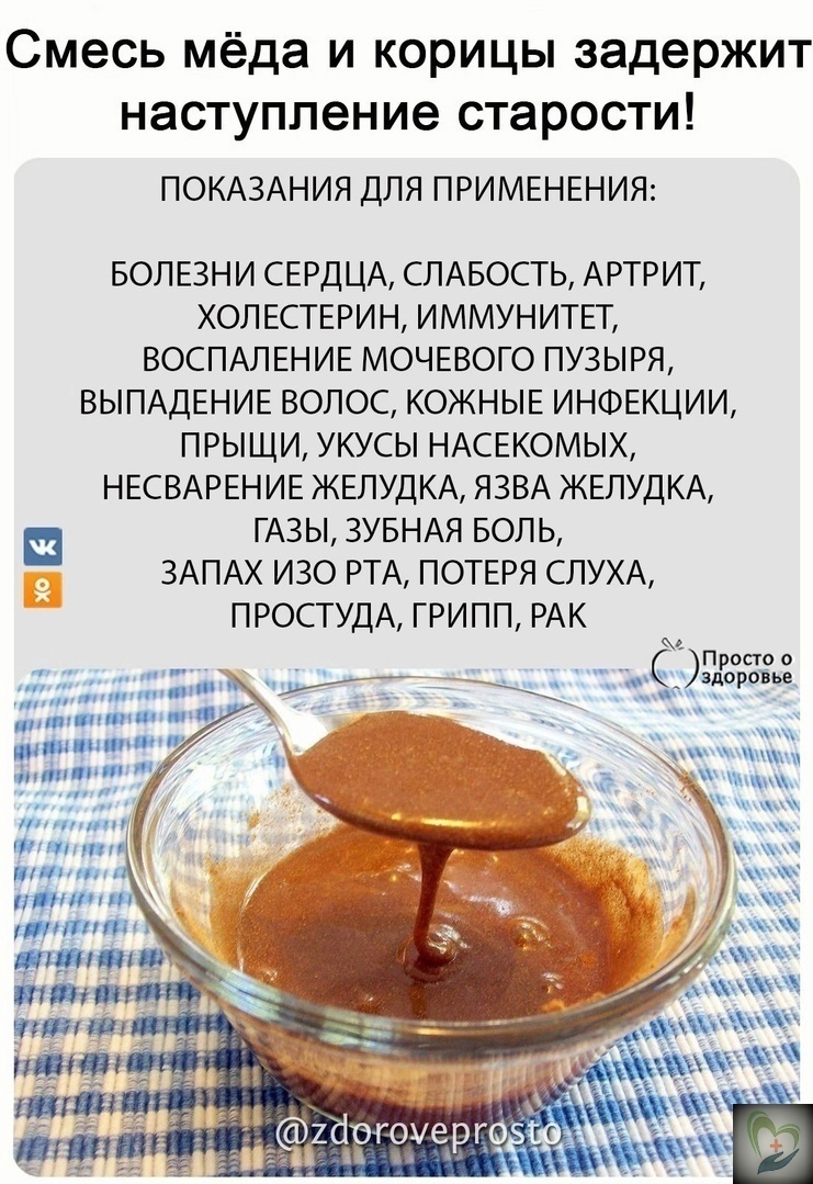Корица с медом полезные свойства и противопоказания