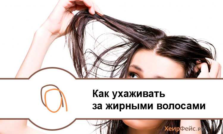 Как ухаживать за жирными волосами правильно - кудряшки.ru