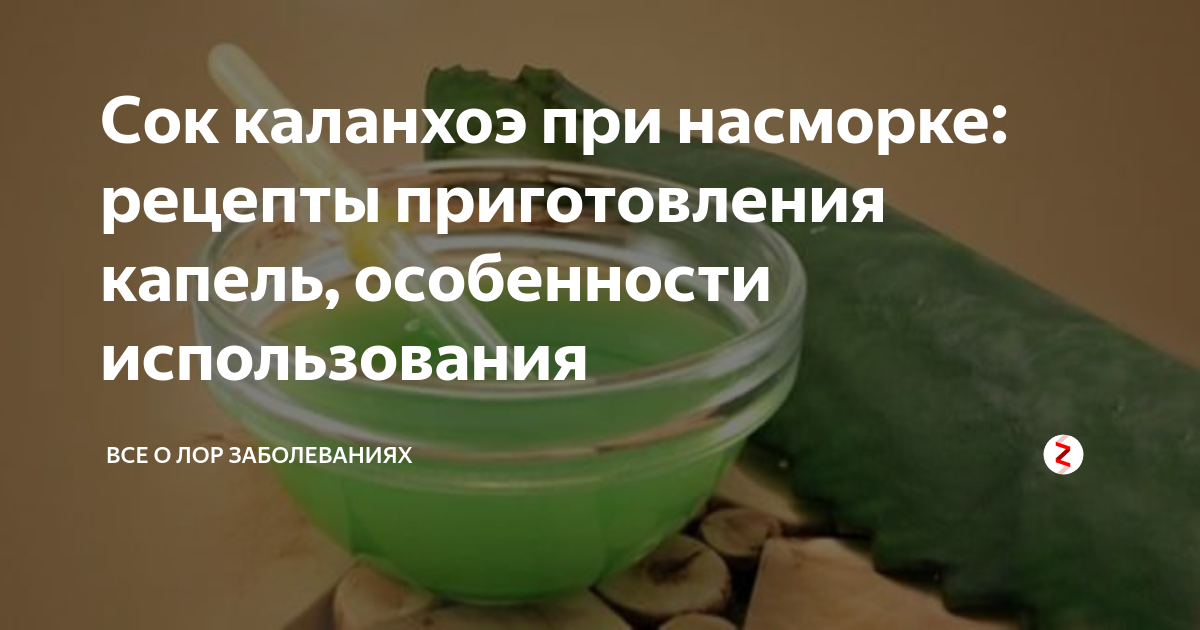 В чём заключаются лечебные свойства каланхоэ