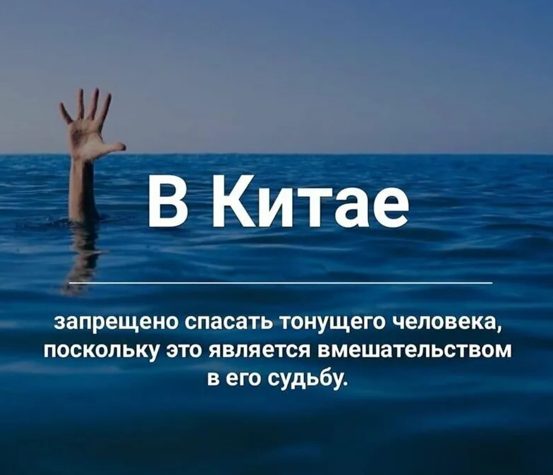 Яна Зубцова съездила на завод марки Zinger под Санкт-Петербургом и выяснила, что ровным счетом ничего об этой марке не знала А вы Проверьте себя Раскаиваюсь,