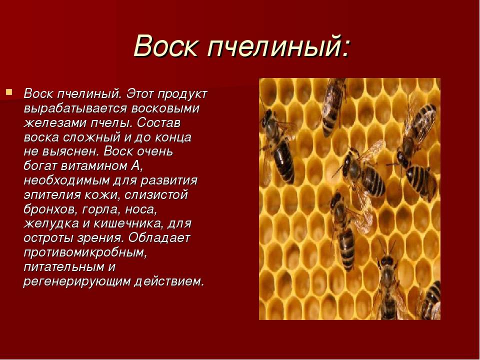 Пчелиный воск - полезные свойства и рецепты применения