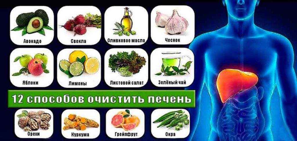 Лекарственные препараты для очищения печени от шлаков