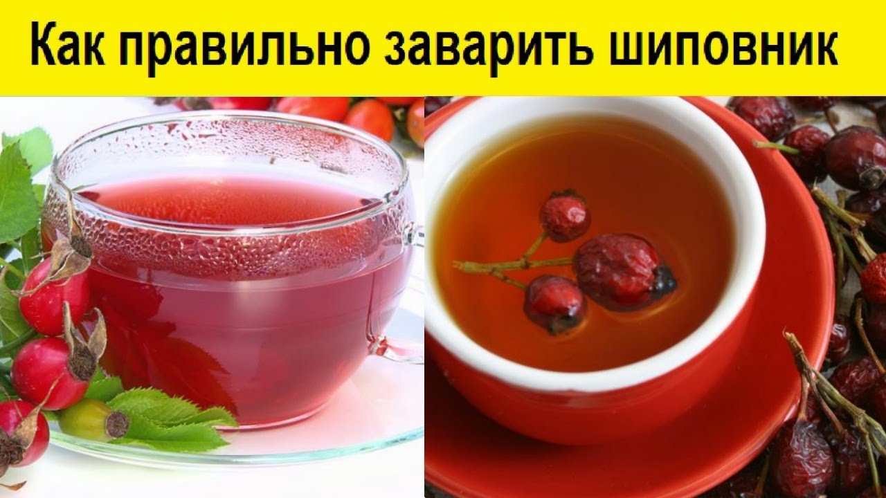 Шиповник в термосе