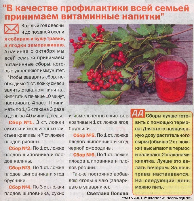 Очень люблю калину с медом так как это природное лекарство Заготавливаем мы калину для лечения осенью