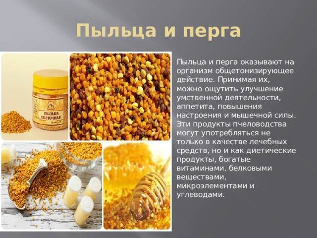 Топ 15 полезных свойств пчелиной пыльцы и 10 лучших препаратов с ней