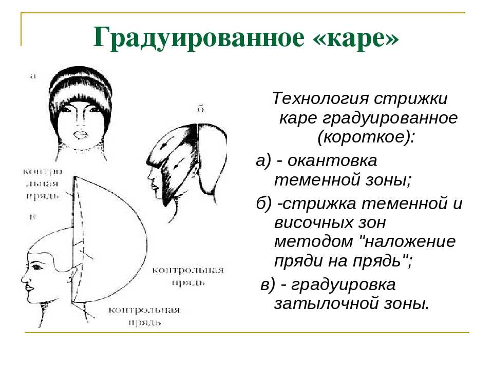 Градуированная стрижка: разновидности, схема выполнения, пошаговая инструкция (49 фото+ видео)
