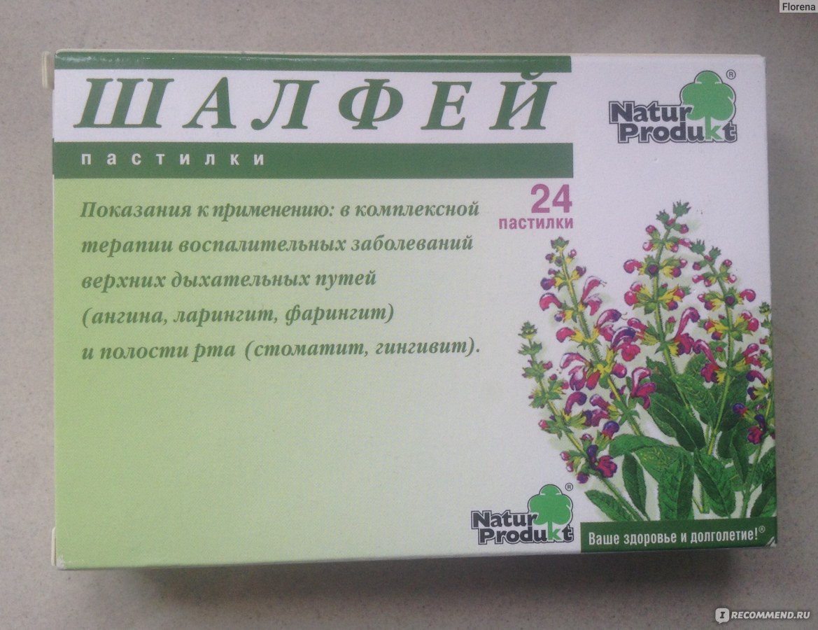 Чай с шалфеем: как пить и заваривать, польза вред