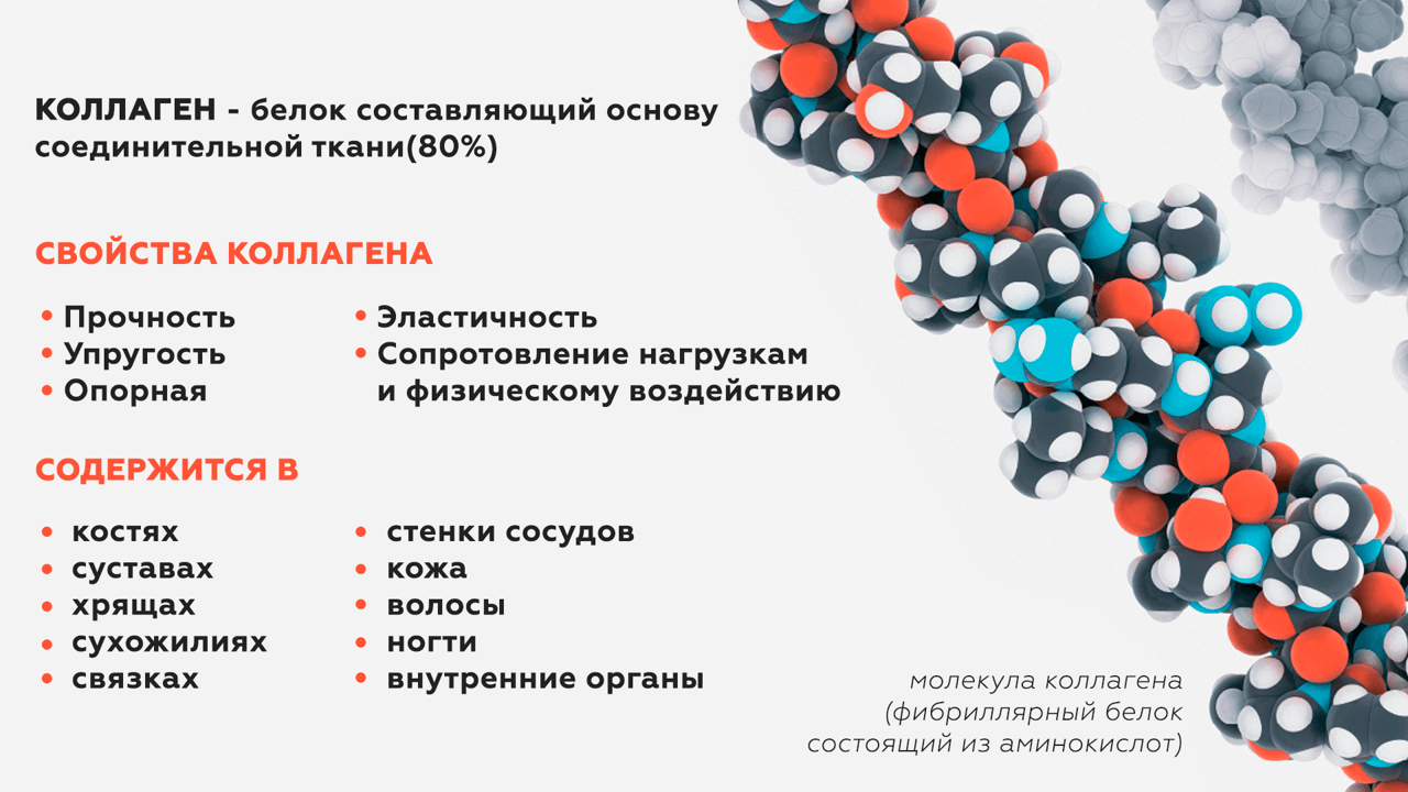Коллаген – основа молодости кожи