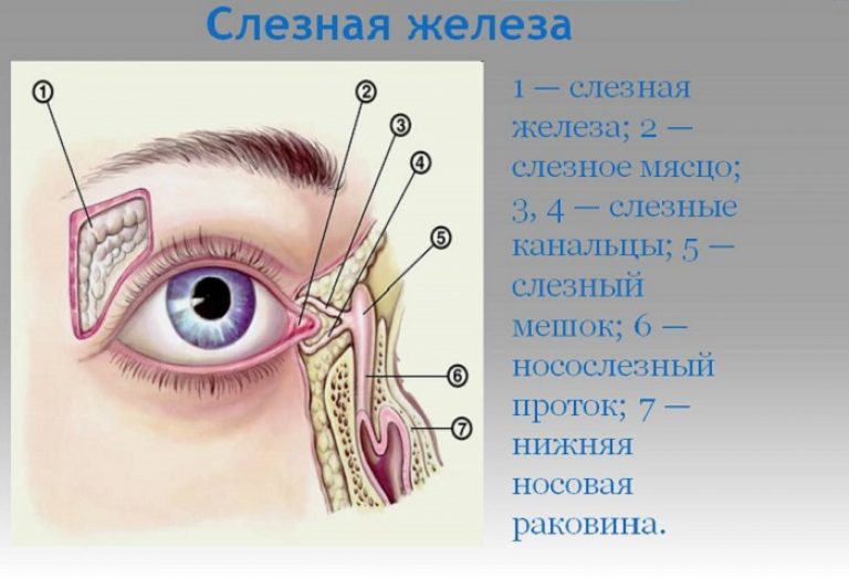 Причины белых выделений из глаз