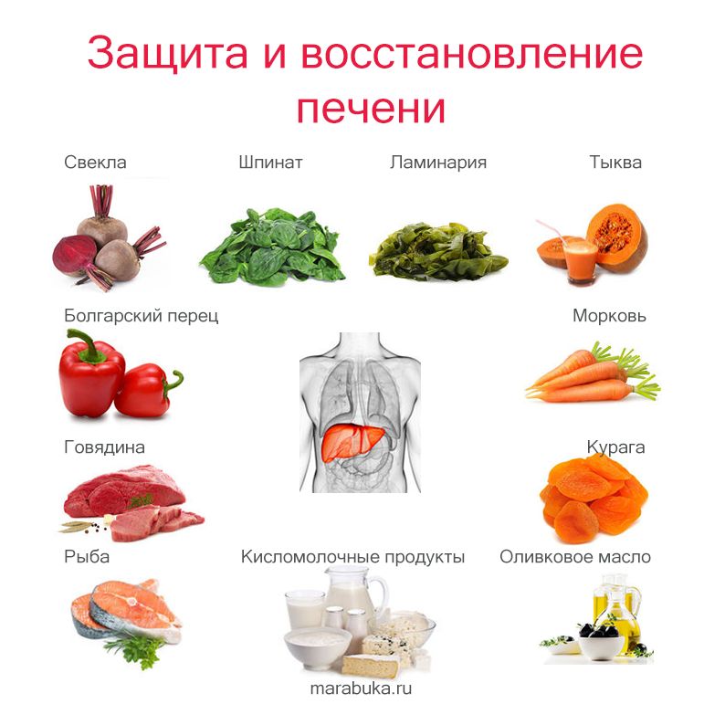 Самые эффективные методы очищения печени - показания к проведению процедуры и авторские программы
