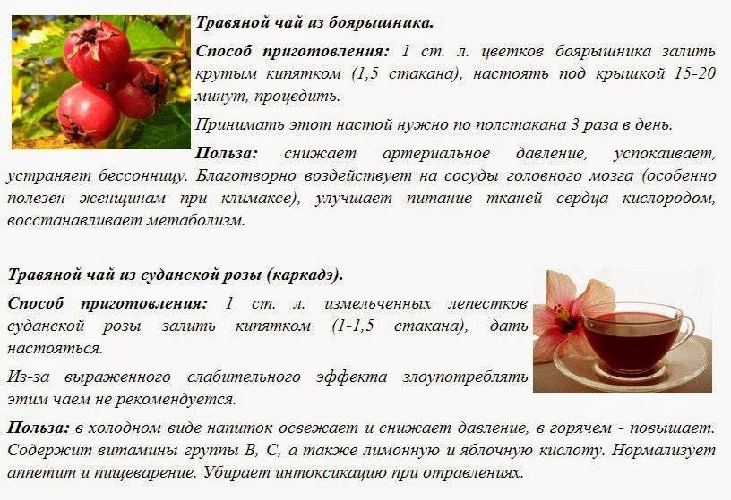 Полезные свойства боярышника, боярышник для здоровья: рецепты в домашних условиях. рецепты боярышника в домашних условиях: лечебные свойства, состав, применение. полезные свойства боярышника. как и когда применять боярышник?