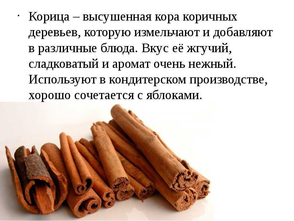 Корица полезные свойства и противопоказания, рецепты, отзывы