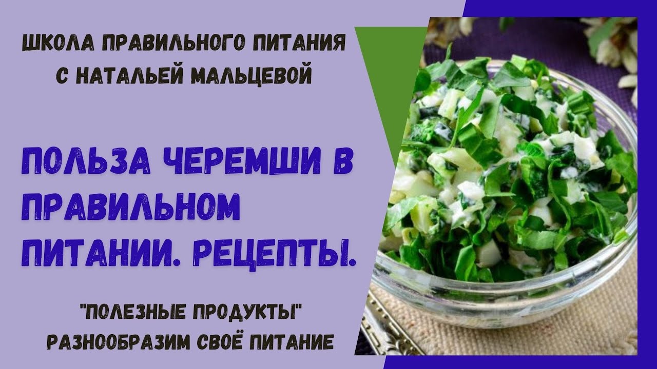 Черемша - польза и вред для организма человека