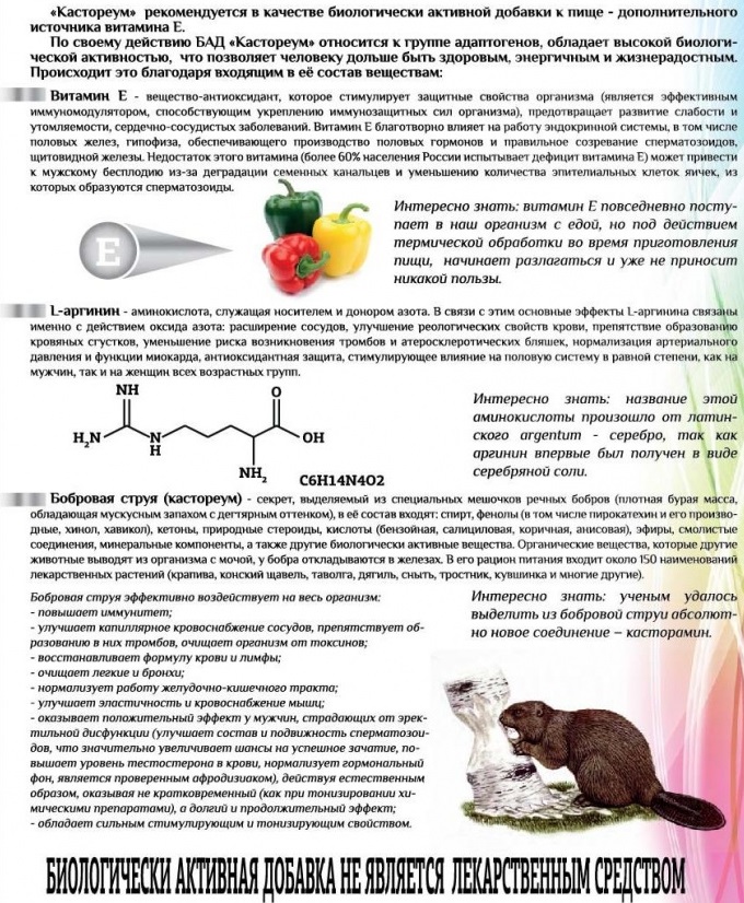Бобровая струя: лечение струей бобра, как принимать