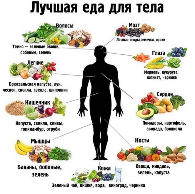 Таблица правильного питания на каждый день с перечнем полезных и вредных продуктов