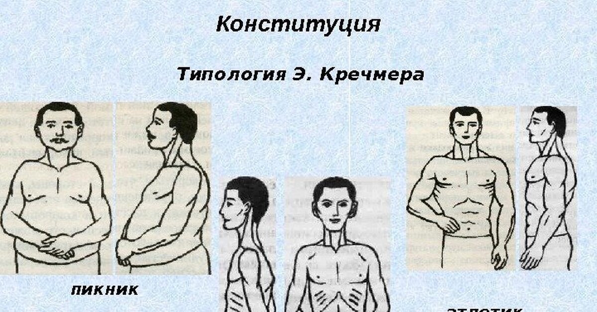 Тест на характер человека по теории эрнста кречмера