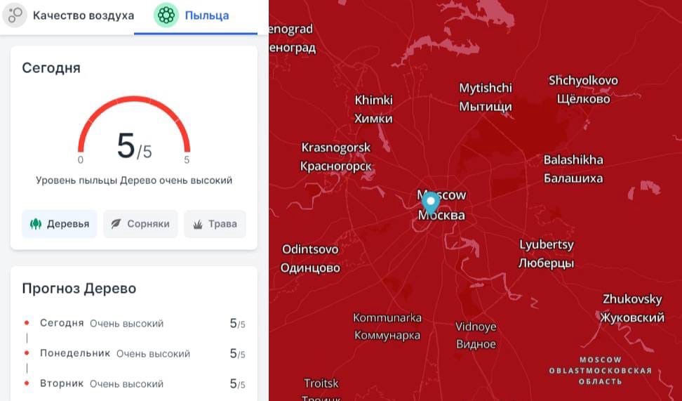 Здоровье весной: 17 лучших приложений для спортсменов, аллергиков и не только