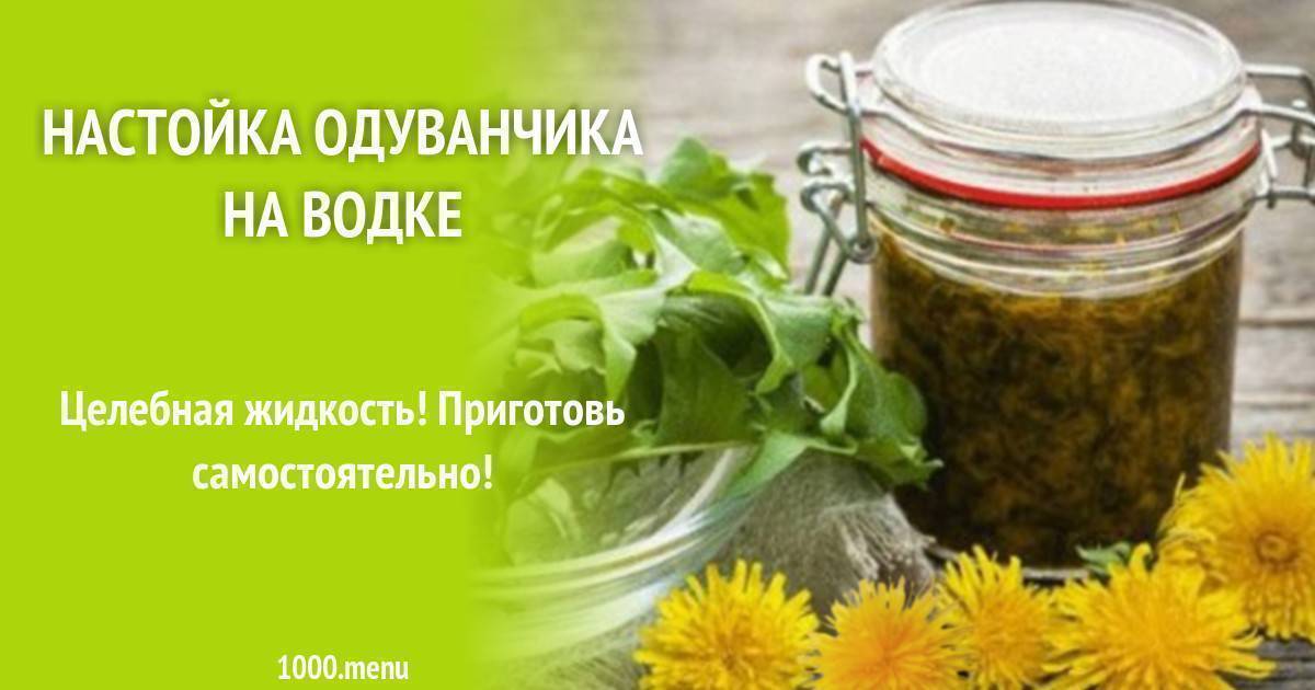Настойка из одуванчиков на водке и спирте: рецепт и пошаговая инструкция приготовления, советы по применению и полезные свойства напитка