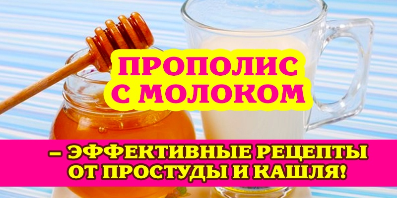Прополис при простуде, кашле, гриппе: польза и вред для организма